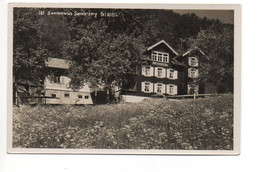 SEVELEN Sonnenwies Sevelerberg Am Horeb Foto K. Buchmann Buchs Gel. 1948 V. Trübbach - Buchs