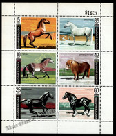 Bulgarie - Bulgaria 1991 Yvert 3373-78, Fauna, Horse Breeds - Sheetlet - MNH - Used Stamps