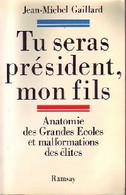Tu Seras Président, Mon Fils De Jean-Michel Gaillard (1987) - Politique