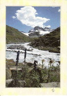 Austria, Vorarlberg, Silvretta, Piz Buin, Gaschum, Bezirk Bludenz, Gebraucht 1997 - Bludenz