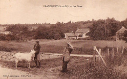 78 ELANCOURT - LES COTES - CHEVRE EDITION LAMONTAGNE PARIS Chevre Goat (rambouillet Paris Trappes) - Elancourt