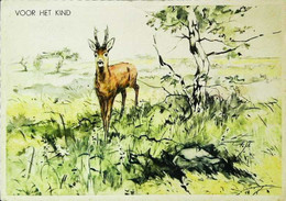 ►  Illustration  1950 Voor Het Kind Antilope Antillaise - Other & Unclassified