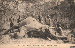 1615/ Congo Belge, Elephant, Olifant Met Mensen - Belgisch-Congo - Varia