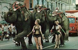 1621/ Peru, Indiana, Elephants On Parade In The Circus City Festival - Pérou