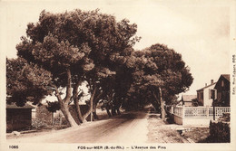 Fos Sur Mer * L'avenue Des Pins * Villas Arbres - Autres & Non Classés