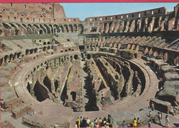 ITALIE LAZIO ROMA ROME INTERNO COLOSSEO - Colosseum