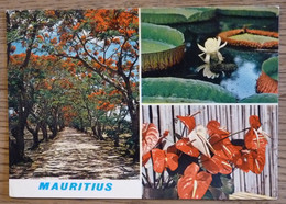 CPA ILE MAURICE - Les Flamboyants Et Fleurs Tropicales - - Maurice