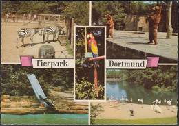 Delcampe - D-44122 Dortmund - Tierpark - Zoo - Bären - Zebra - Seelöwe - Papagei - Dortmund