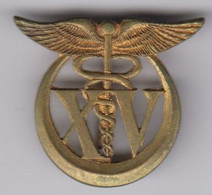 XVe Bataillon Médical  - Insigne Sans Inscriptions Au Dos - Medical Services