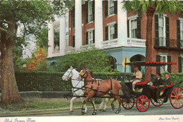 Charleston / High Battery Home / Pferde / Horses / Kutsche (D-A397) - Charleston