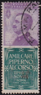 166 Regno D'Italia Publicitari 1924-25 - 50 C. Piperno N. 13. Cat. € 650,00. SPL - Publicité