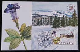 YUGOSLAVIA 1983 , Nacionalni Park Kopaonik National Park Maximum Card FDC 3/89 - Maximumkarten