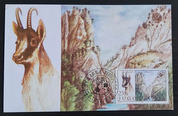 YUGOSLAVIA 1983 , Nacionalni Park Sutjeska National Park Maximum Card FDC 3/90 - Tarjetas – Máxima