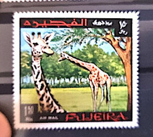 FUJEIRA Girafes, Girafe, Giraffe, Jirafa. Yvert N° 84 ** MNH - Giraffen