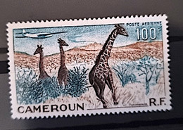 CAMEROUN Girafes, Girafe, Giraffe, Jirafa. Yvert  PA 47 ** MNH - Giraffen