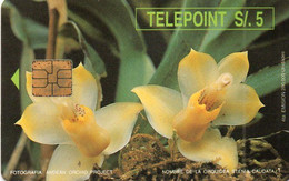 PERU - CHIP CARD - TELEPOINT - FLOWER - ORCHID - STENIA CAUDATA (WHITE BACK) - Peru