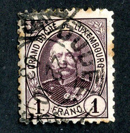 146 Lux 1893 YT66 O Cat 9.€ (Offers Welcome!) - 1891 Adolphe Frontansicht