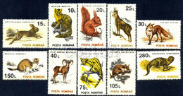 1993 Animals,Red Fox,Rabbit,Squirrel,Genet,Chamois,Mouflon,Stoat/ermine,Egyptian Mongoose,Romania,Mi.4901 X,MNH - Unused Stamps