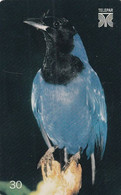 BRAZIL(Telepar) - Bird, 01/00, Used - Altri & Non Classificati