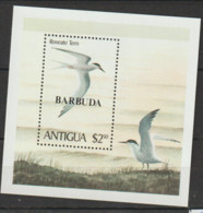 Barbuda  1980   SG  MS 540 Roseate Tern   Unmounted Mint Miniature Sheet - Barbuda (...-1981)