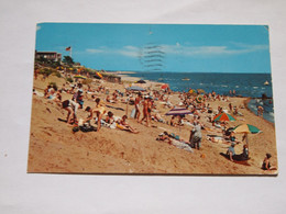 CPA USA Massachusetts Cape Cod Dennisport 1959 - Cape Cod