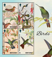 Montserrat    2018    Fauna Birds And Flower  I201901 - Montserrat