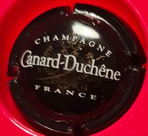 CAPSULE DE CHAMPAGNE CANARD-DUCHENE N° 75h - Canard Duchêne