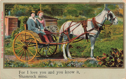 CPA - Fantaisies - For I Love You And You Know It Shamrock Mine - Photo De Witt C. Wheeler - Colorisé - Charette - Cheva - Other & Unclassified