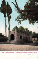 CPA - Israêl - Jaffa -Précurseur - Colorisé - Tabithabrunnen - Fontaine De Tabitha - Israel