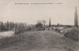 72 / MALICORNE / UN PAYSAGE AU BORD DE LA SARTHE - Malicorne Sur Sarthe