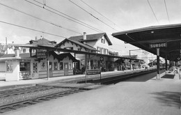 Sursee  Bahnhof - Sursee