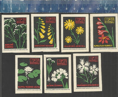 FLOWERS Matchbox Labels LITHUANIA - Zündholzschachteletiketten