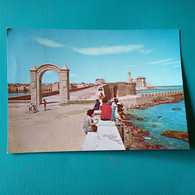 Cartolina Trani - Il Duomo Visto Dalla Villa Comunale. Viaggiata 1967 - Trani