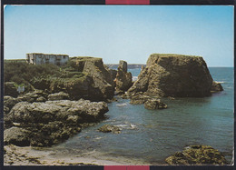 56 - Belle Ile En Mer - Le Fort De Sarah Bernhardt - Belle Ile En Mer