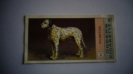 DALMATIAN Dalmatien N° 30 Fowls Pigeons And Dogs Chien Dog Cigarettes OGDEN'S Tobacco Vignette Trading Card Chromo - Ogden's