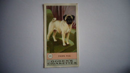 FAWN PUG N° 35 Fowls Pigeons And Dogs Chien Dog Cigarettes OGDEN'S Tobacco Vignette Trading Card Chromo - Ogden's