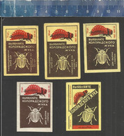 FIGHT THE COLORADO BEETLES - BUGS - USSR RUSSIAN Matchbox Labels - Zündholzschachteletiketten