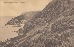 TORQUAY: Babbacombes Slopes - Torquay