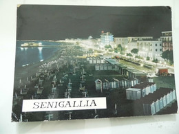 Cartolina Viaggiata "SENIGALLIA" 1984 - Senigallia