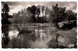 Champdeniers Etang De Neufchaise - Champdeniers Saint Denis