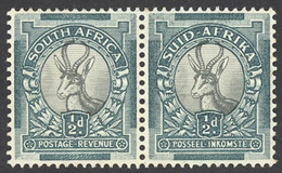 South Africa Sc# 33 MH Pair 1930-1945 ½p Springbok - Unused Stamps