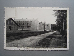 Brasschaat - Polygoon - Ruiterijschool - Ecole De Cavalerie - Brasschaat