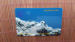 Ascession Island Bird IPhonecard  2CASB Used Rare - Islas Ascensión