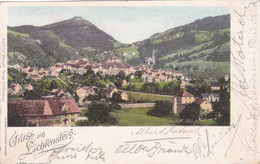 Suisse - Schweiz - GRUSS AUS LICHTENSTEIG ,POSTCARD. - Lichtensteig