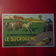 ILLUSTRATEUR PUB LE SUCROGENE ALIMENT MELASSE - Publicité