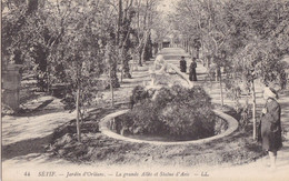 SETIF - Jardin D'Orléans - La Grande Allée Et Statue D'Aeis - Setif