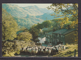 ENGLAND - Seatoller Used Postcard As Scans - Borrowdale