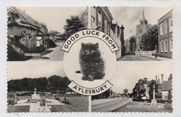 UK - ENGLAND - BUCKS - AYLESBURY, Good Luck From...1966 - Buckinghamshire