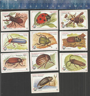 BEETLES BUGS  Matchbox Labels Made In Former YUGOSLAVIA DOLAC 1975 - Zündholzschachteletiketten