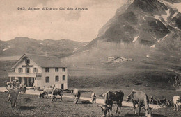 La Clusaz - Saison D'été Au Col Des Aravis - Hôtel - Troupeau - La Clusaz